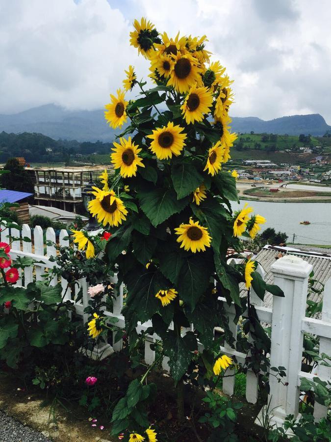 Lake View Comfort Bungalow นูวาราเอลิยา ภายนอก รูปภาพ