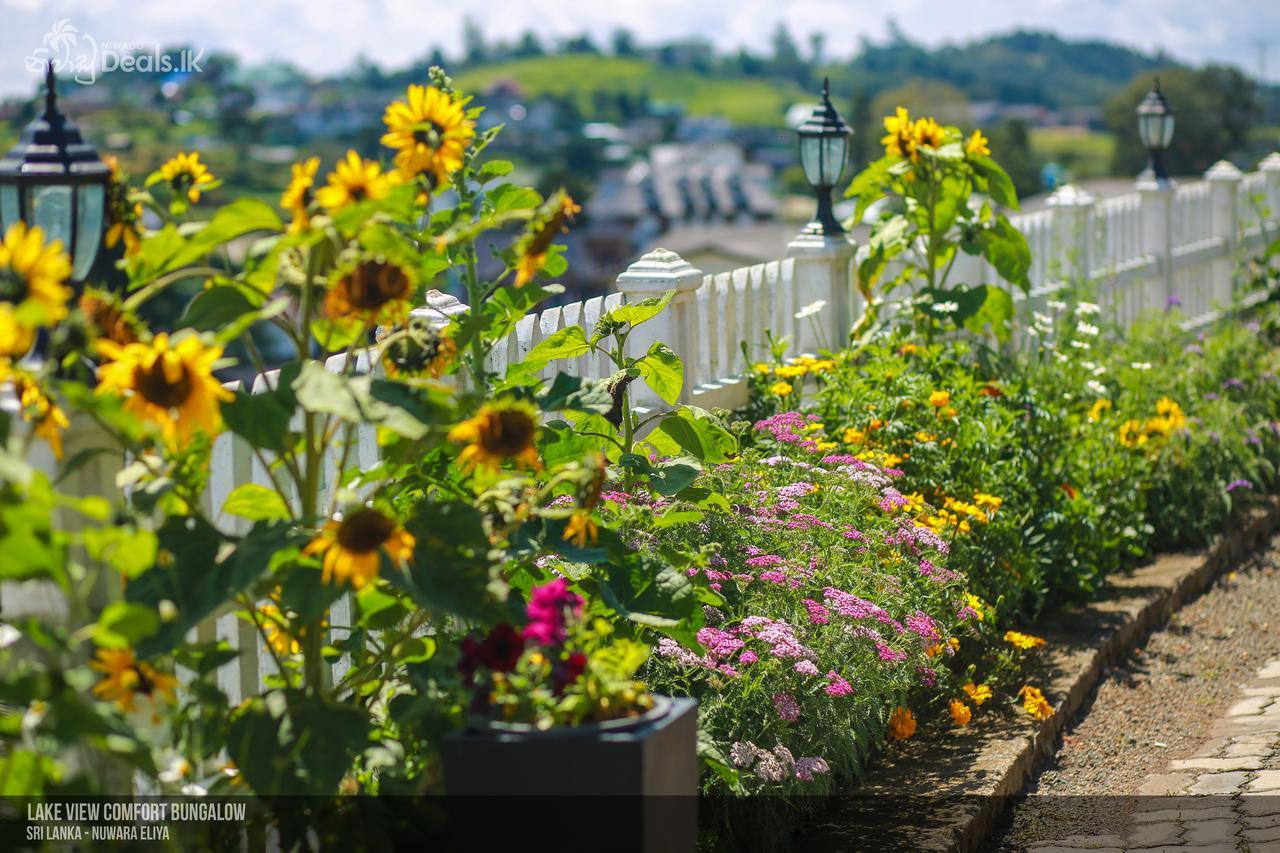 Lake View Comfort Bungalow นูวาราเอลิยา ภายนอก รูปภาพ
